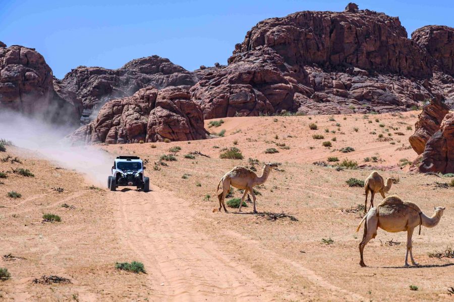 Qatar hosts the penultimate round of the FIA World & Middle East Baja Cups