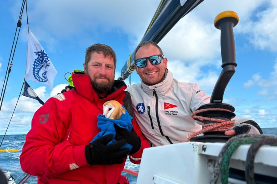 RORC Round Britain & Ireland Race: British Army Sailors Rescue Barn Owl 70 Miles Offshore