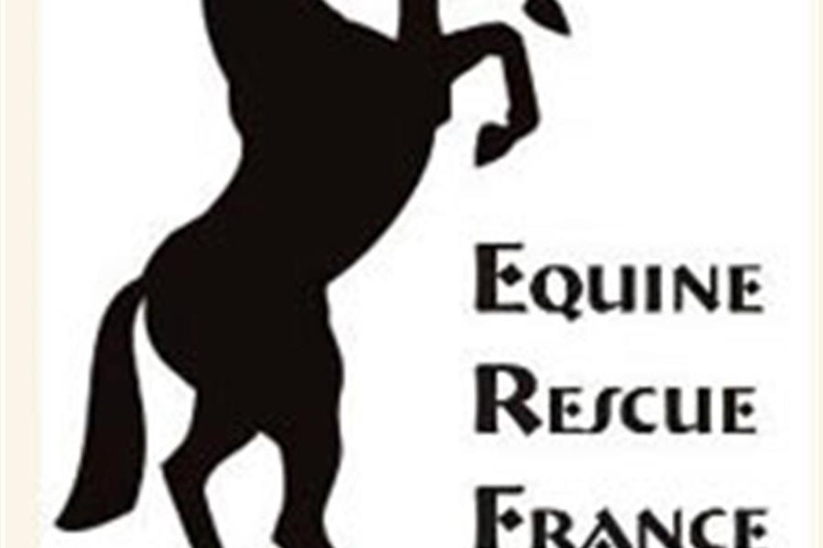 Horsepower - Equine Rescue France