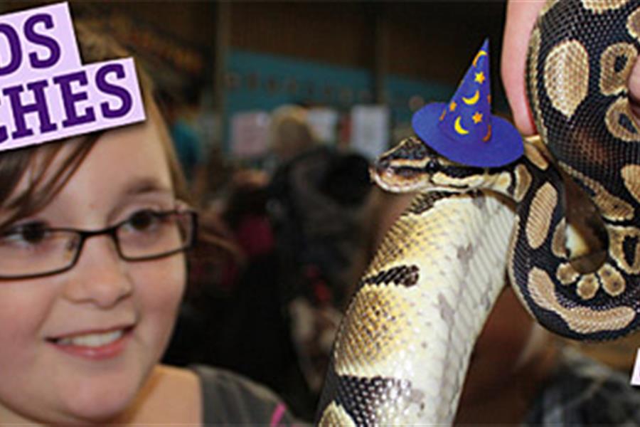 Bocketts Farm Park Client News Creative Digital Solutions Racecar