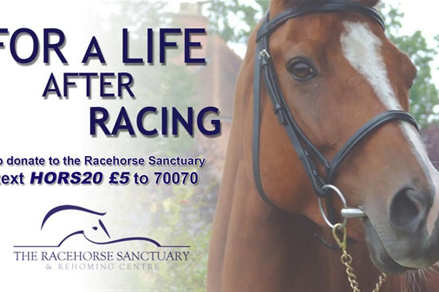 Racecar Supports A Different Kind Of Horsepower