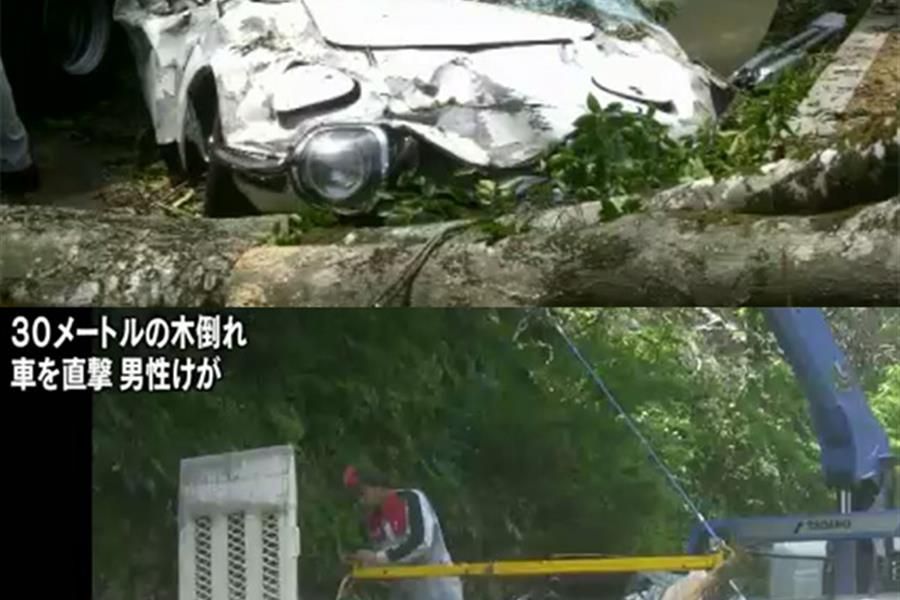 Toyota 2000 GT flattened