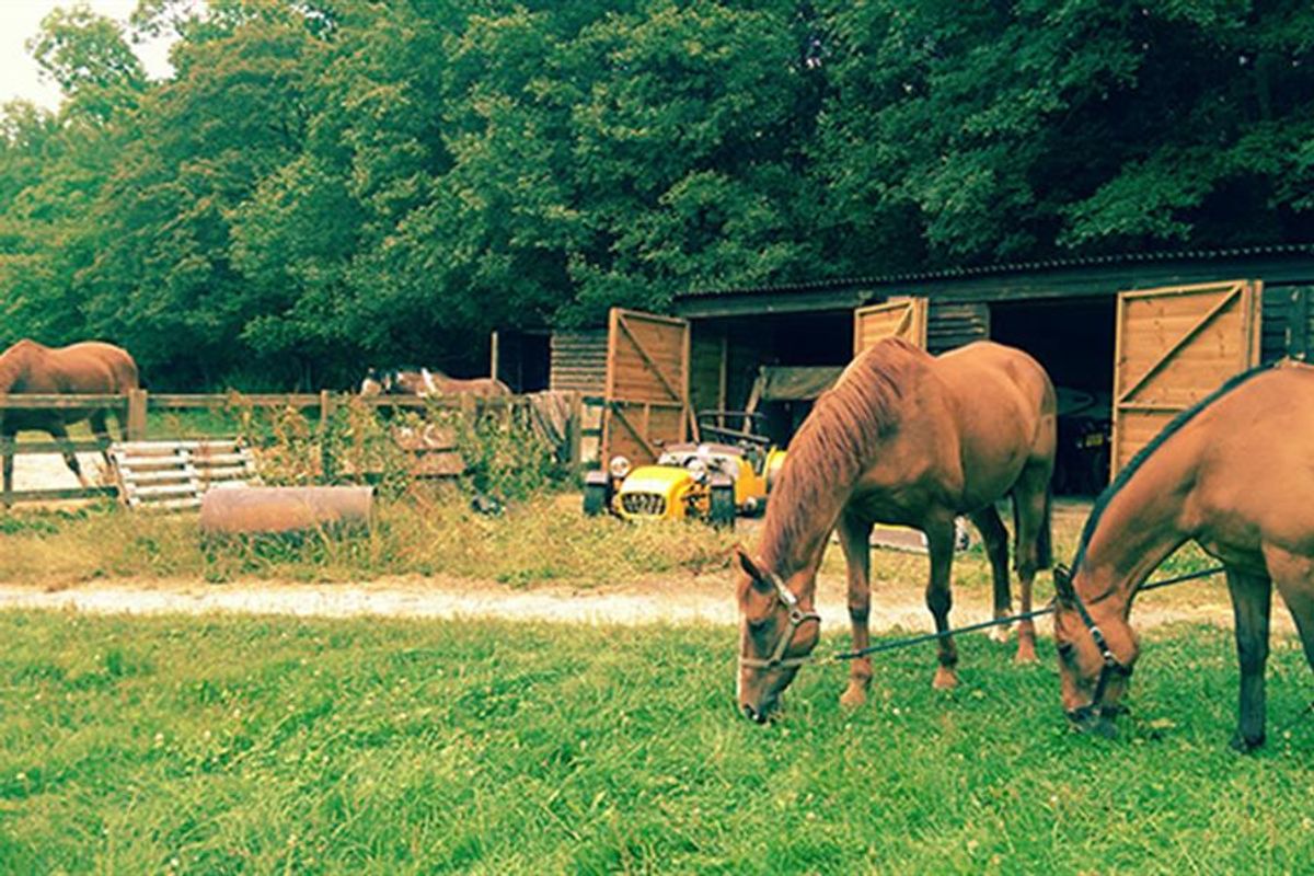 Different horsepower - Racehorse Sanctuary