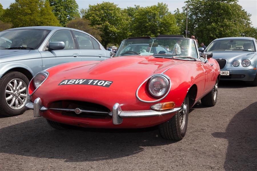 Big cats to prowl into Beaulieu for Simply Jaguar