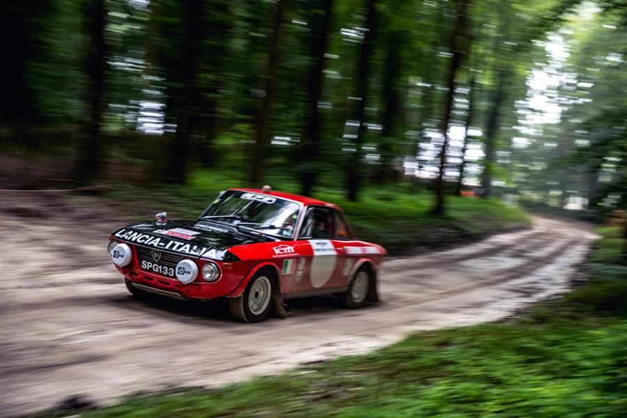 Goodwood Forest Rally Stage