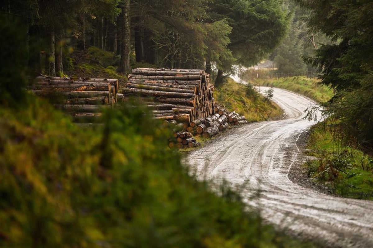 Wales Rally GB set for classic title fight