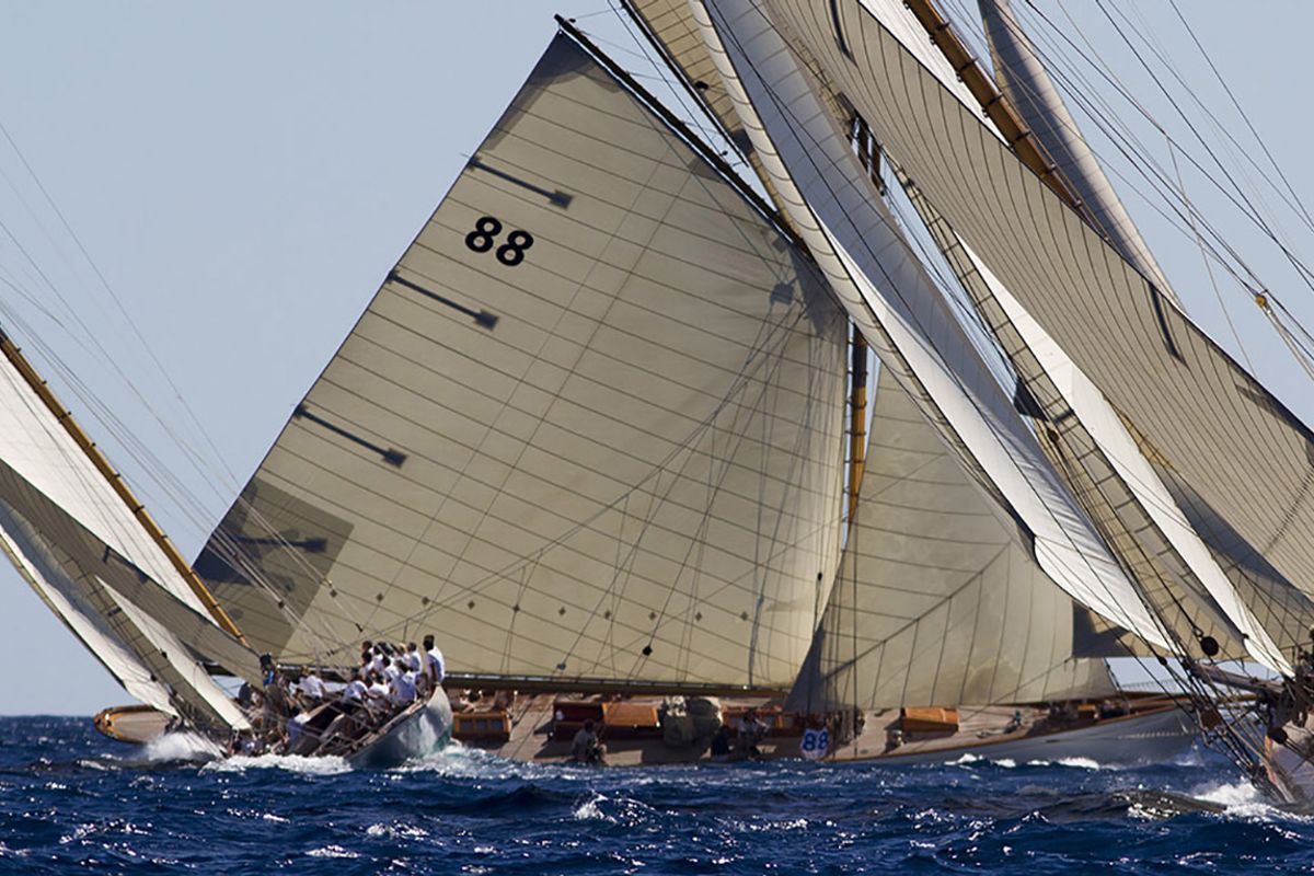 A unique experience: be a part of the Les Voiles de Saint-Tropez as crew