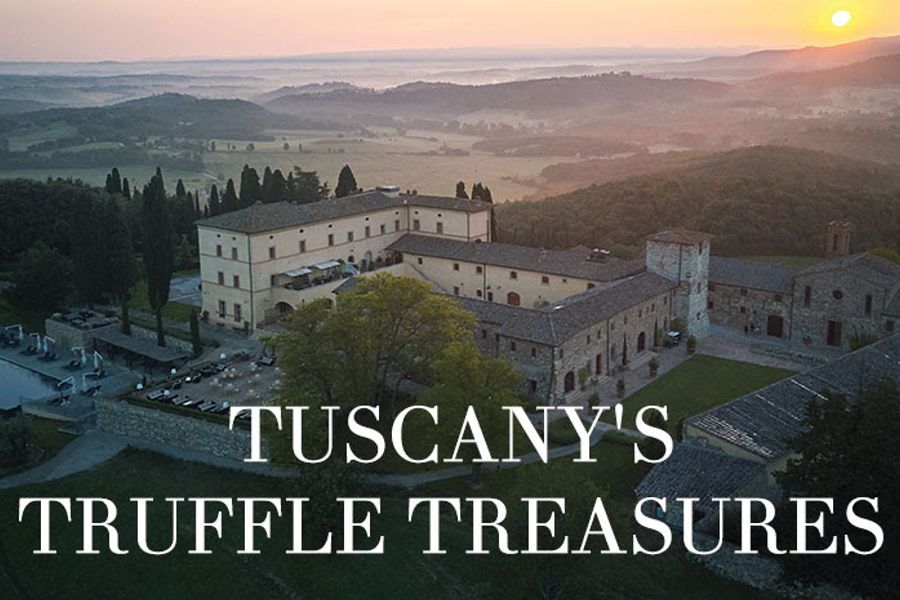 No truffles this Xmas: Join a truffle hunt in Tuscany