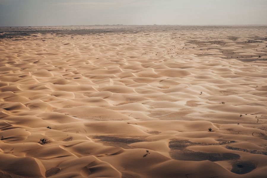 Africa Eco Race reaches Dakar after 4000 gruelling kms