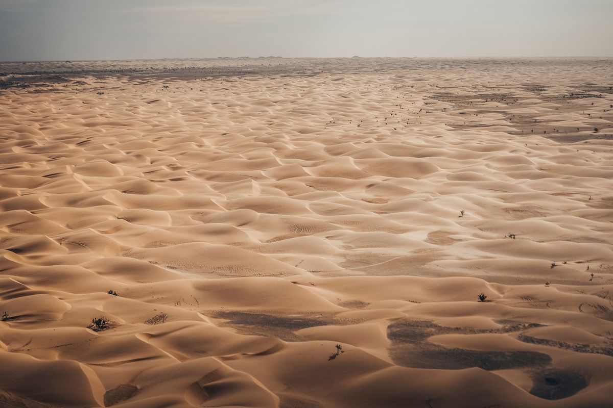 Africa Eco Race reaches Dakar after 4000 gruelling kms