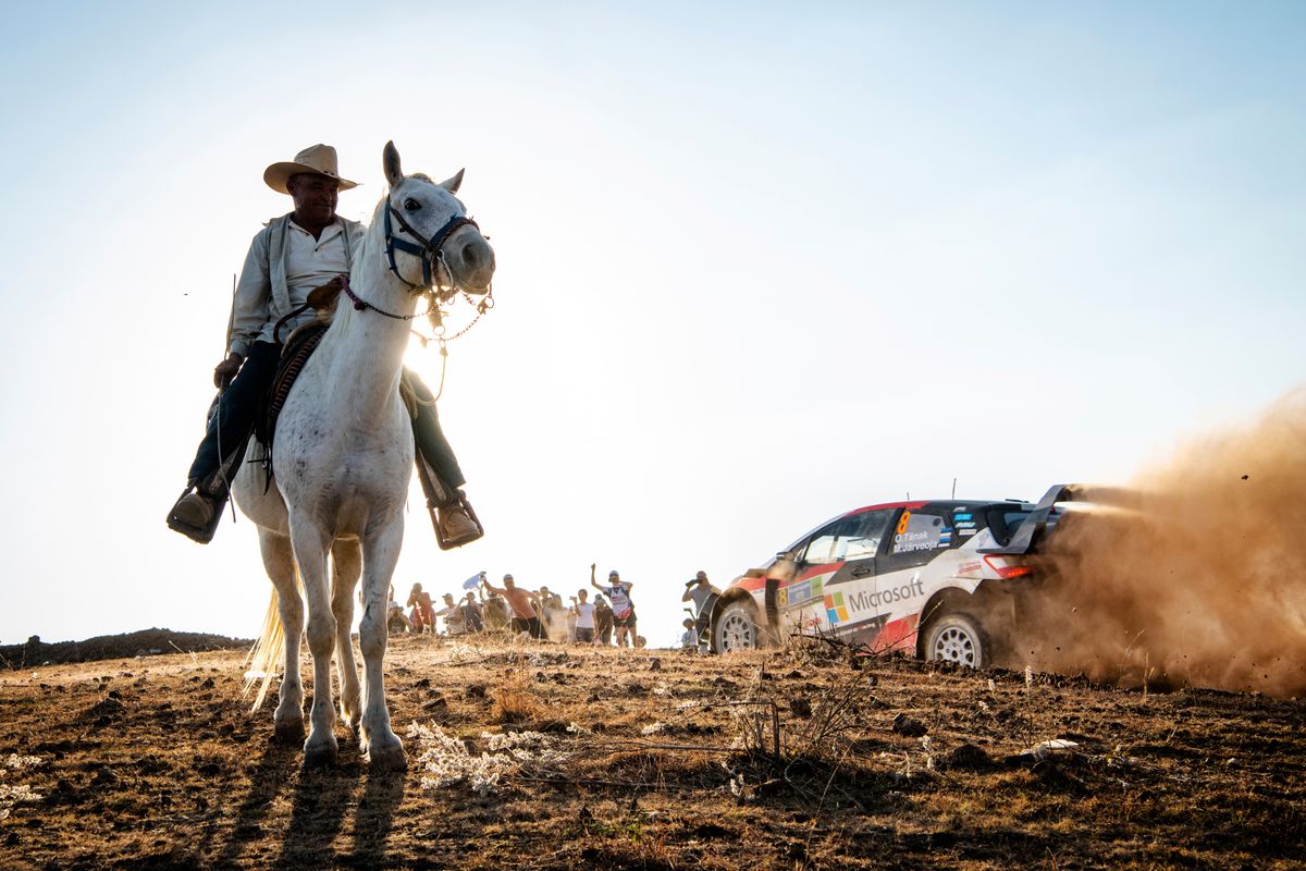 Evans and Tänak stay in hunt for Rally Mexico win behind relieved Ogier