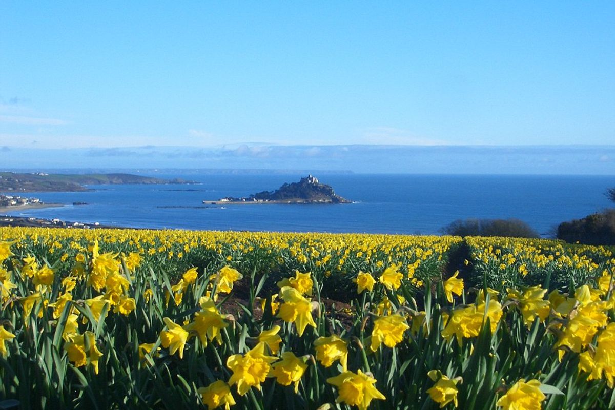 Sailors Are You Ready for Spring