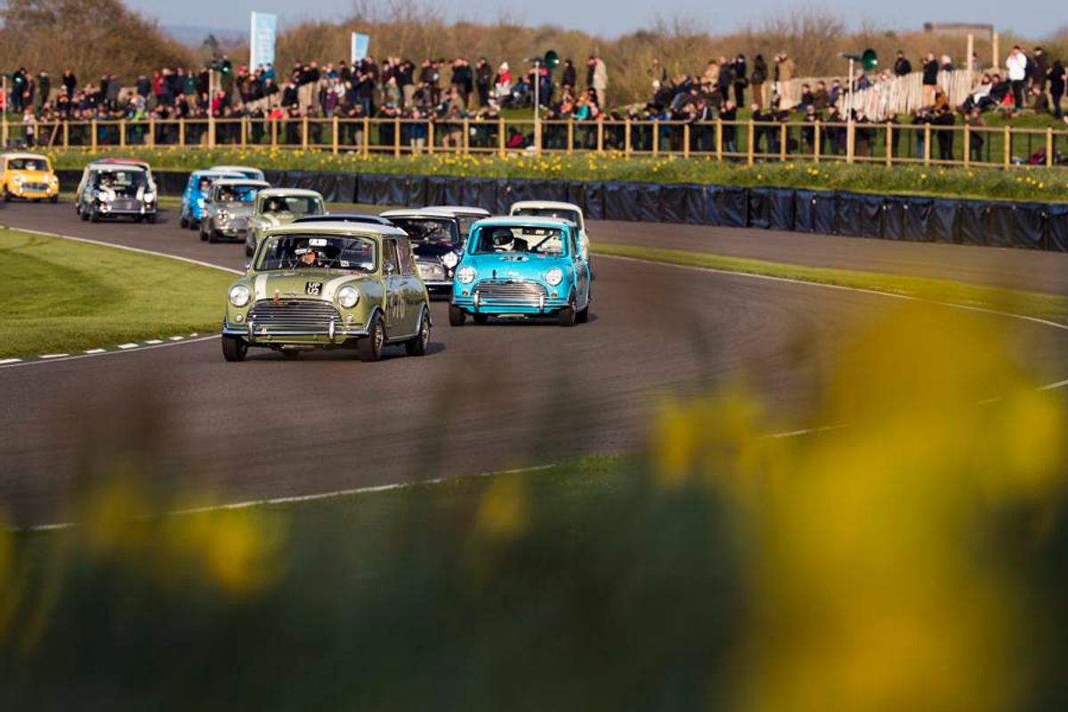 Minis and V8s Take Saturday Race Wins at Goodwood Members' Meeting