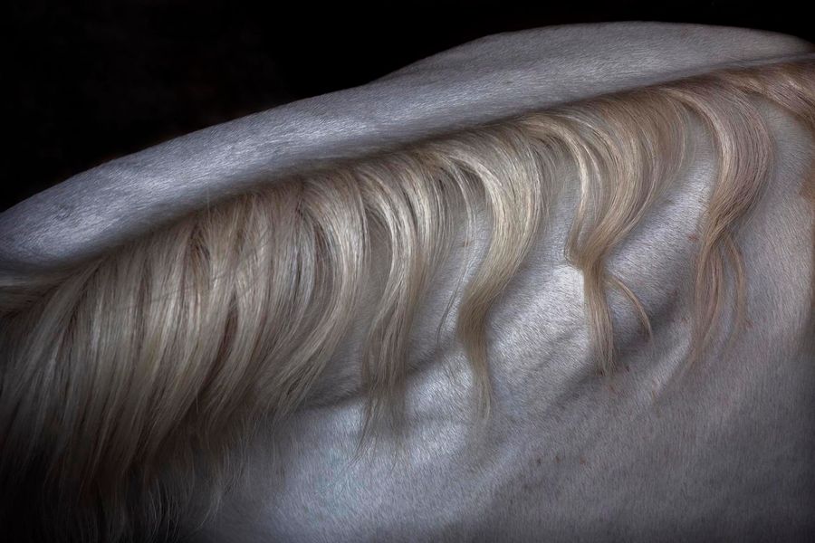 British Photography Awards 2019 Competition Closes