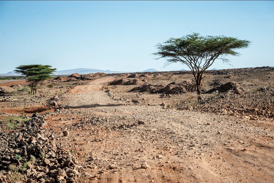 Rally the Globe revs up for epic Southern Cross Safari