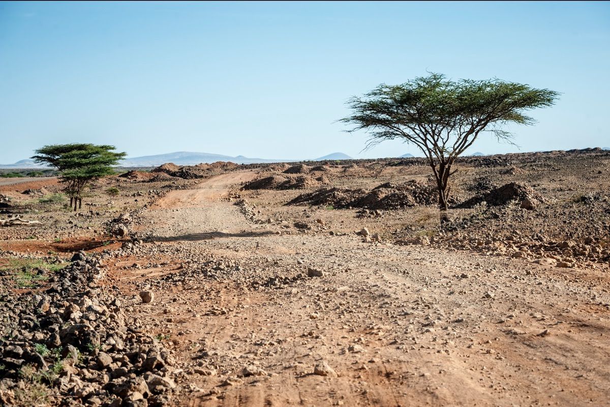 Rally the Globe revs up for epic Southern Cross Safari