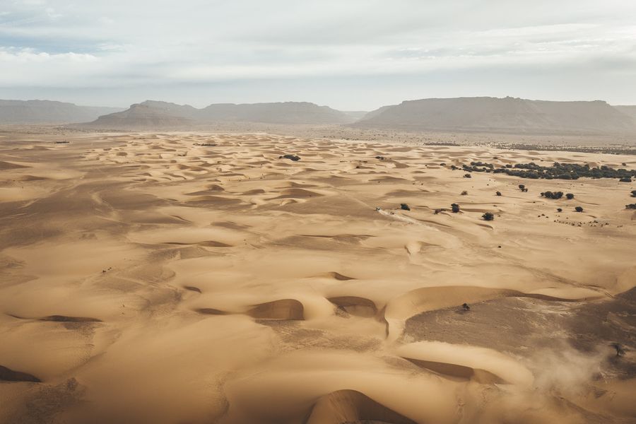 AFRICA ECO RACE: Statement from Jean Louis Schlesser