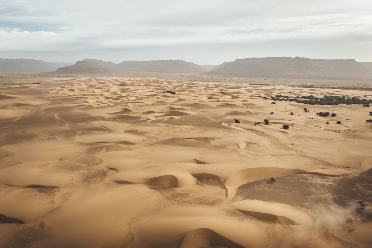 AFRICA ECO RACE: Statement from Jean Louis Schlesser