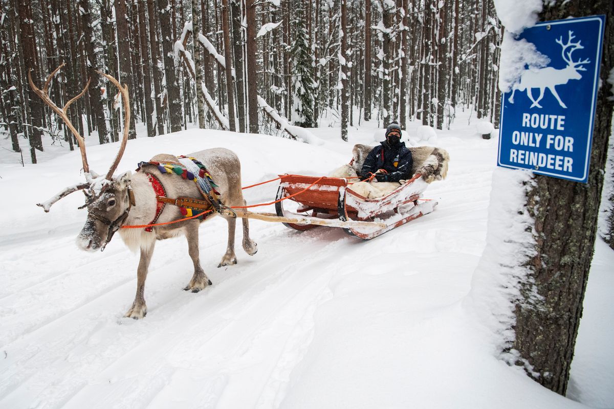 Tänak seals WRC Arctic Rally Finland win