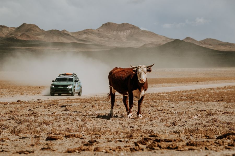 Rebelle Rally kicks into high gear with the 52 teams leaving Lake Las Vegas