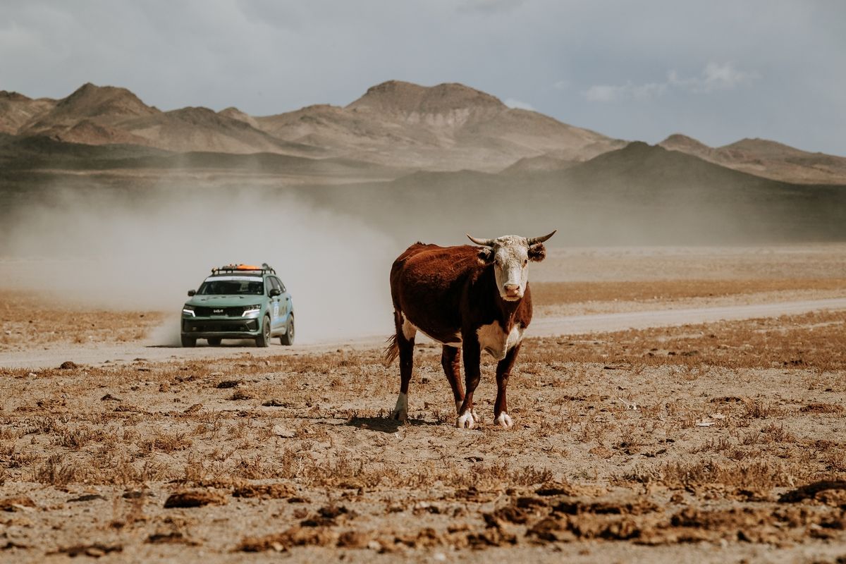 Rebelle Rally kicks into high gear with the 52 teams leaving Lake Las Vegas