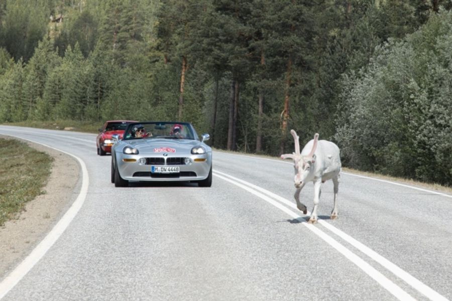  Imperial Rally successfully guided 26 crews 8,000km through 10 countries