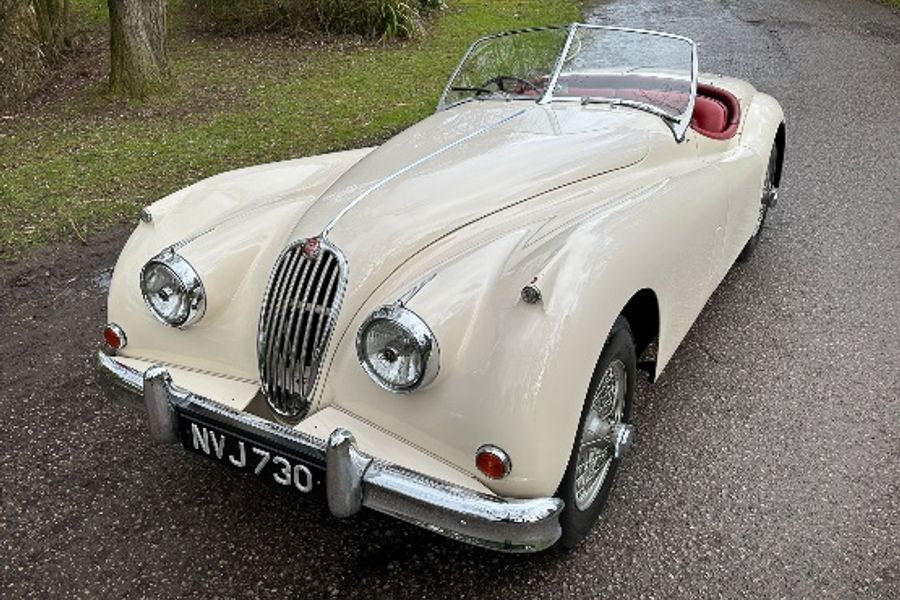 Hampson Auctions beats wintry weather with 75 percent sale rate